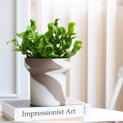 Planters